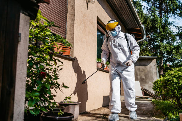 Best Local Pest Control Services  in Mount Healthy, OH