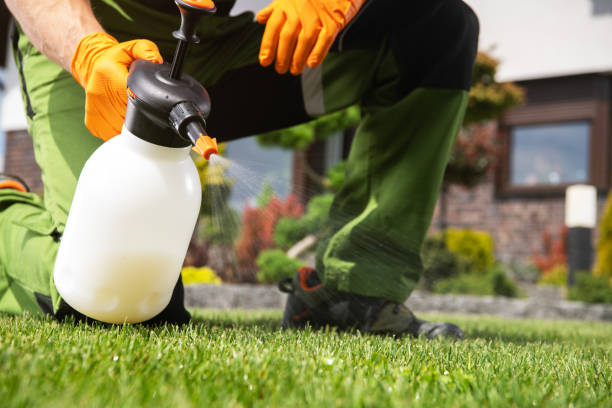 Flea Control Services in Mount Healthy, OH