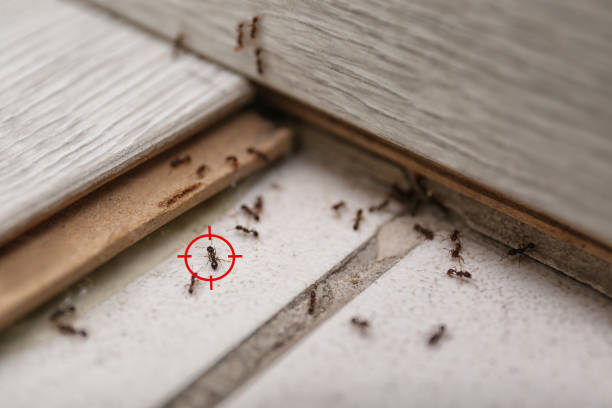 Mount Healthy, OH Pest Control Company