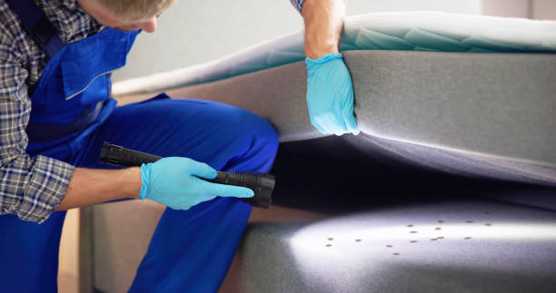 Best Pest Prevention Services  in Mount Healthy, OH