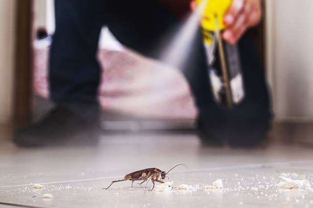 Best Pest Removal Services  in Mount Healthy, OH